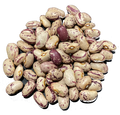 AUSTRALIAN BORLOTTI BEANS