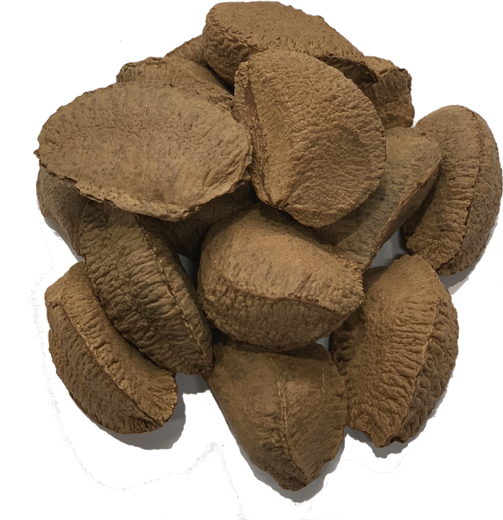 BRAZIL NUTS IN SHELL Vava Pantry