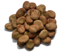 AUSTRALIAN BROAD BEANS
