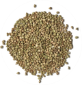 ORGANIC ACTIVATED BUCKWHEAT