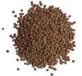 AUSTRALIAN BLACK LENTILS