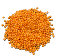 AUSTRALIAN RED FOOTBALL LENTILS