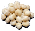 AUSTRALIAN RAW MACADAMIAS