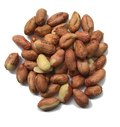 AUSTRALIAN RAW PEANUTS