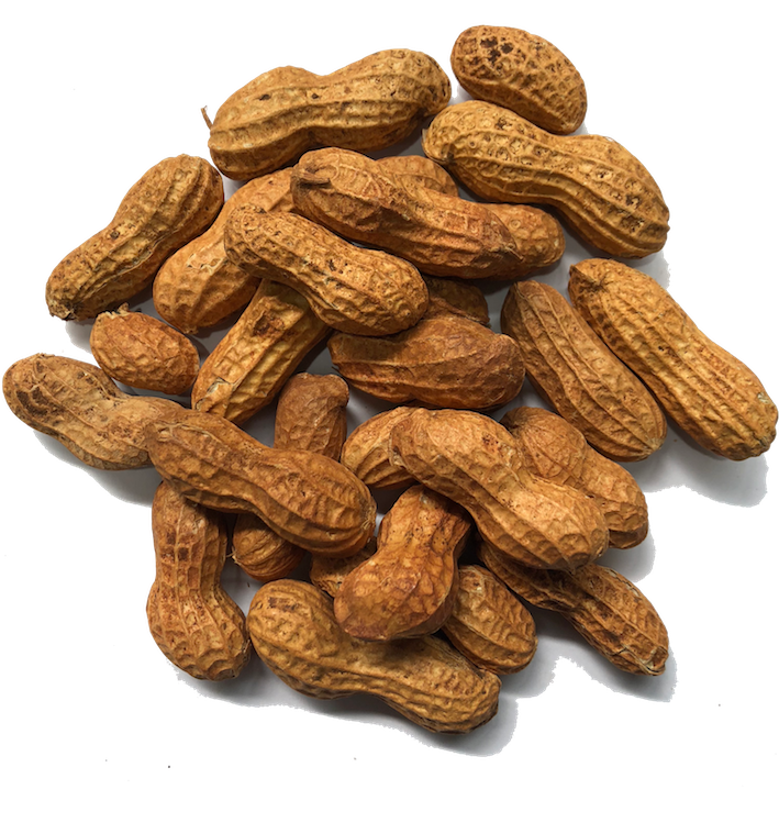 ROASTED PEANUTS IN SHELL Most Popular Vava Pantry