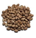 PINTO BEANS