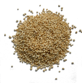 ORGANIC PUFFED QUINOA