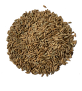 AUSTRALIAN ORGANIC RYE GRAIN