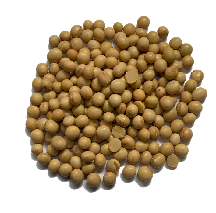 ORGANIC SOYA BEANS Vava Pantry
