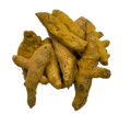 TURMERIC FINGERS