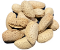 ALMONDS IN SHELL