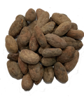 ORGANIC RAW CACAO BEANS