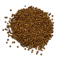 ORGANIC CORIANDER SEEDS