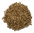 CORIANDER SEEDS