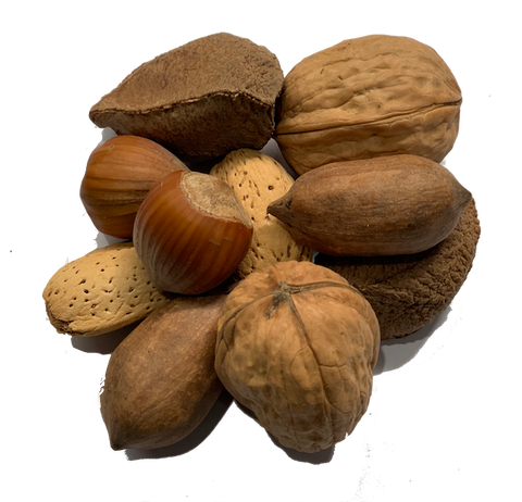 MIXED NUTS IN SHELL