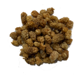 MULBERRY FRUIT
