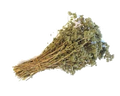 OREGANO BRANCH