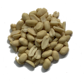 AUSTRALIAN RAW BLANCHED PEANUTS