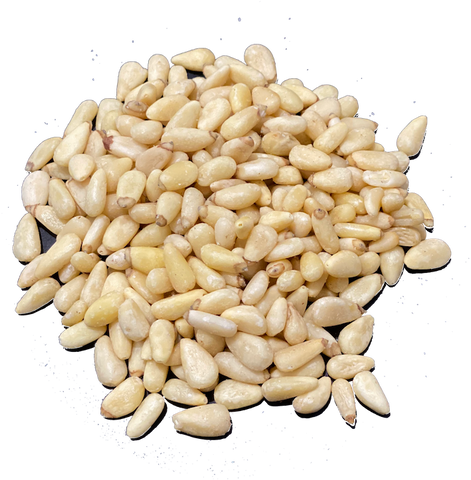 LARGE PINE NUTS