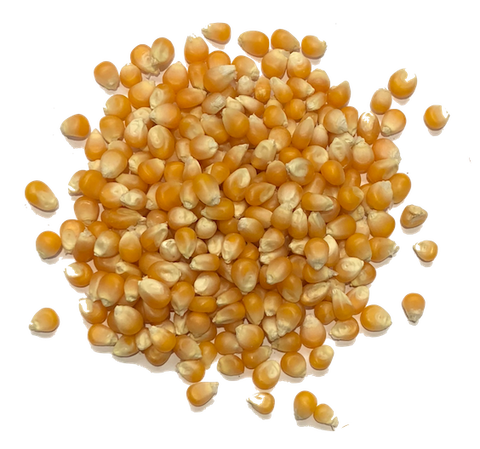 POPPING CORN  <p> <strong>  Most Popular </p></strong>