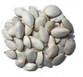 UNSALTED JUMBO PUMPKIN SEEDS IN SHELL