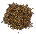 AUSTRALIAN RED SORGHUM SEEDS