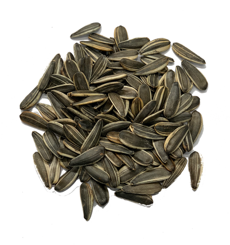 UNSALTED SUNFLOWER SEEDS IN SHELL