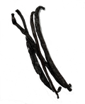VANILLA BEANS