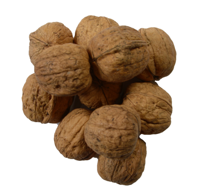 WALNUTS IN SHELL – Vava Pantry